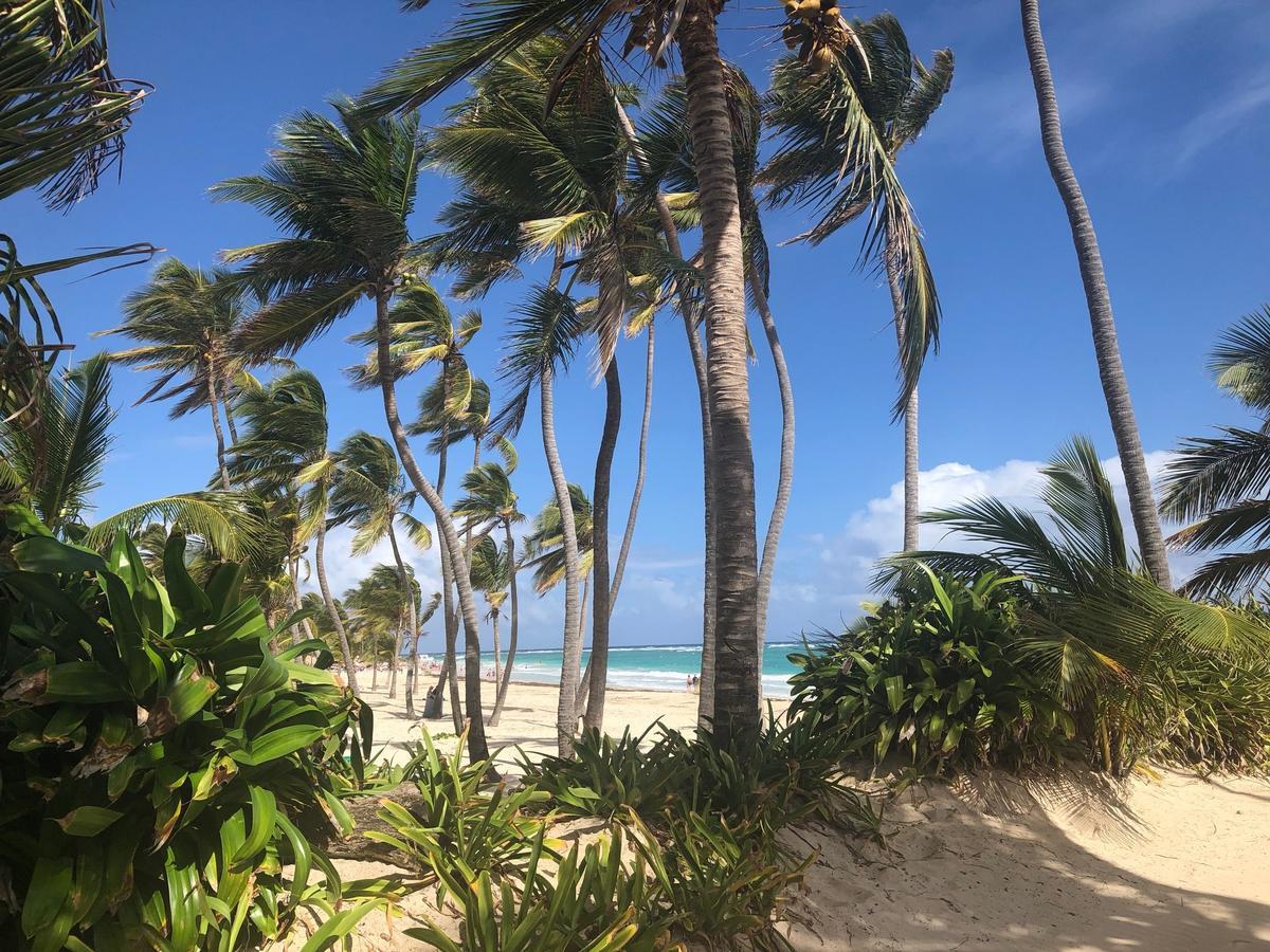 Art Villa Dominicana Punta Cana Exteriör bild